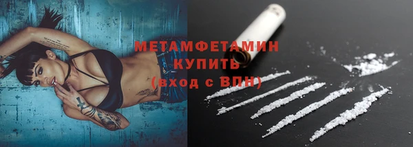 прущие грибы Нягань