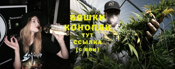 мескалин Няндома